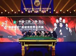 NS血洗DFM，Hanssama完成史诗逆转宿命之战2025世界赛，留下经典瞬间的简单介绍