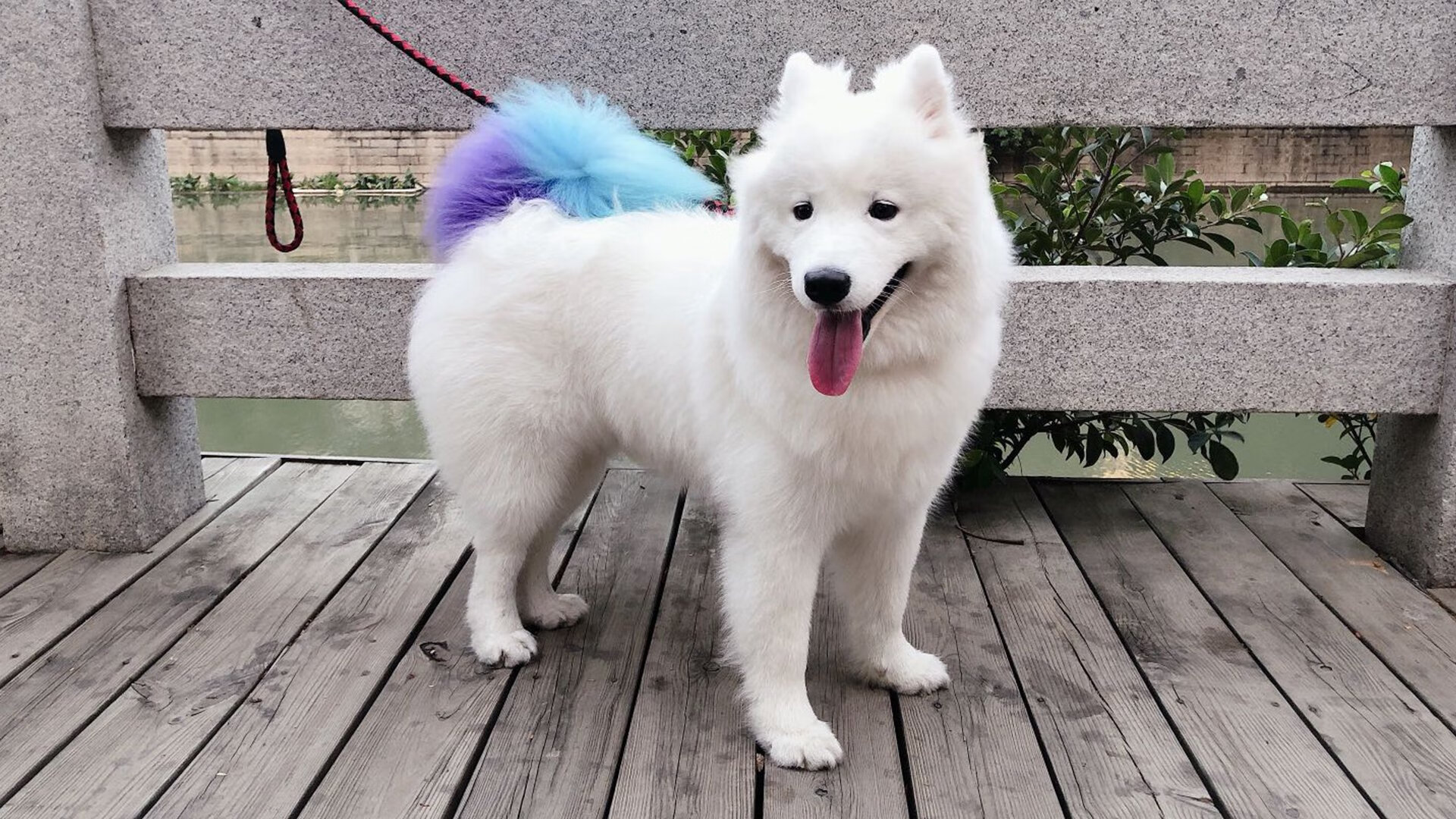 英超争冠之夜，詹姆斯一剑封喉，巨星的价值，在于扛起整座城市的重量